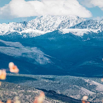 grand county landscapers